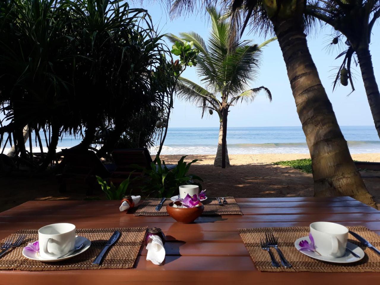Arcade Beach Hotel Bentota Zewnętrze zdjęcie